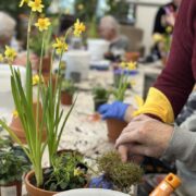 Dobrovolníci ve&nbsp;zdravotnictví pomáhají tisícům pacientů. Dny dobrovolnictví připomínají jejich nenahraditelnou roli